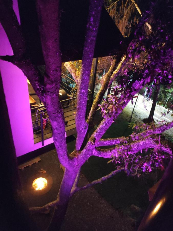 Cabanas San Marcos มาซามิตลา ภายนอก รูปภาพ